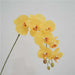 Artificial Moth Butterfly Orchid Real Touch Flowers Artificial Flora Modalyst