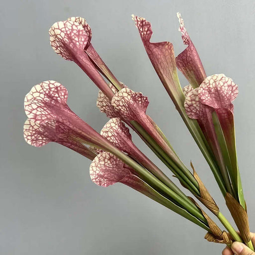 Artificial nepenthes plant with pink and green stems, perfect for home decor and floral arrangements.