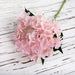 Pink Latex Hydrangea Real Touch Artificial Flowers with green leaves on distressed white wooden background.