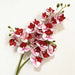 Latex Butterfly Orchid Stem with 21 realistic pink and red flower heads for home decor.