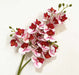 Latex Butterfly Orchid Stem with 21 realistic pink and red flower heads for home decor.