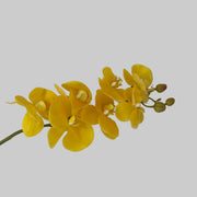 Yellow artificial orchid flowers on a white background
