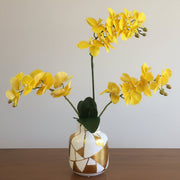 A vase with yellow orchid flowers on a table
