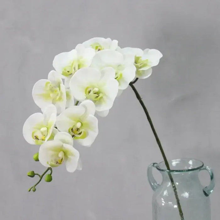 9 Head Real Touch PU Latex Phalaenopsis Artificial Flower Artificial Flora HMEOT