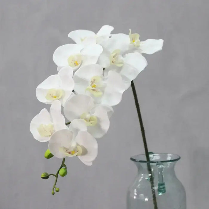 9 Head Real Touch PU Latex Phalaenopsis Artificial Flower Artificial Flora HMEOT