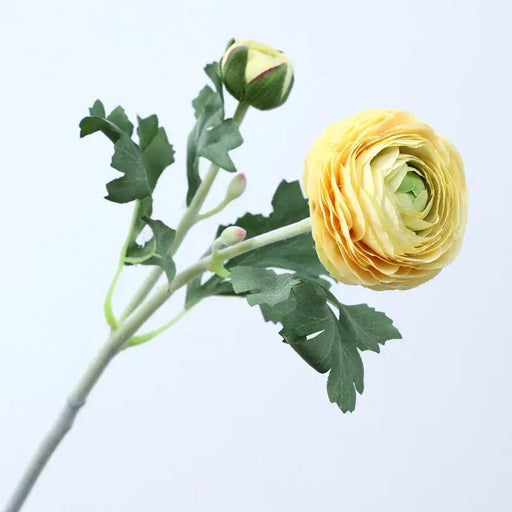 Artificial Rose Peony Ranunculus Flower Stem Artificial Flora Htmeing