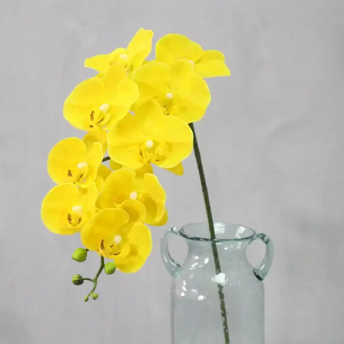 9 Head Real Touch PU Latex Phalaenopsis Artificial Flower Artificial Flora HMEOT