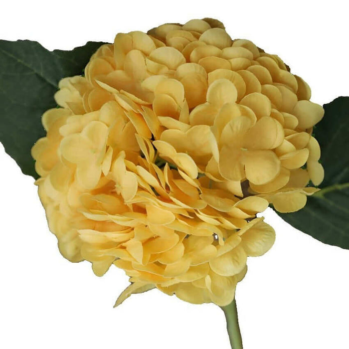 A 154-Petal Latex Hydrangea Flower Stem Real-Touch Latex Hydrangea LINANUO