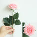 Latex real-touch artificial rose stems held in hand, showcasing delicate pink rose and vibrant green leaves.