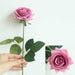 Latex real-touch artificial rose stems in pink with realistic leaves, perfect for elegant decor.