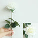 Latex real-touch artificial rose stems held in hand, showcasing vibrant white petals and realistic green leaves