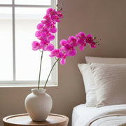 Fuchsia artificial butterfly orchid on a table beside a bed 