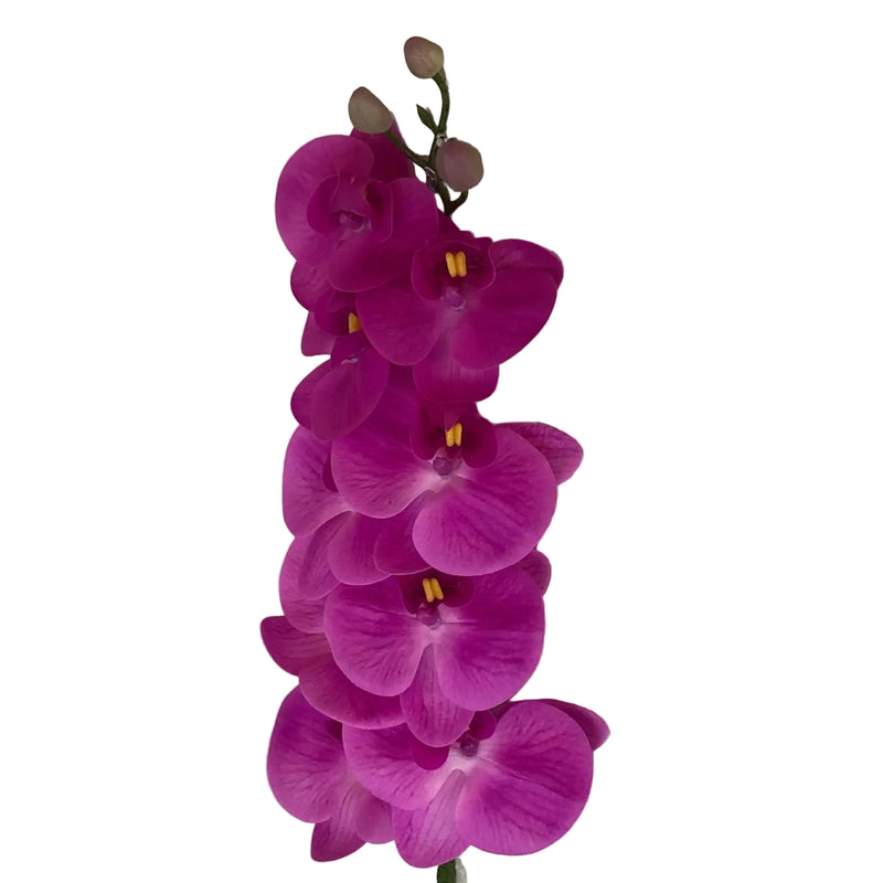 Fuchsia colored  artificial orchid on a textured white background