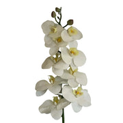 Artificial white orchid flowers on a gray background