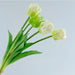 5Pc Lot Real Touch Silicone Parrot Tulip Artificial Flower Real-Touch Latex Parrot Tulips LaurelChow