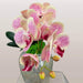 1-Stem Latex Real-Touch Artificial Butterfly Orchid Real-Touch Butterfly Orchid AliExpress