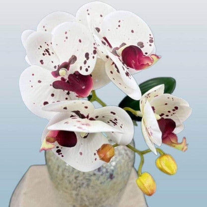 1-Stem Latex Real-Touch Artificial Butterfly Orchid