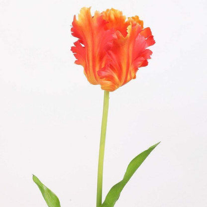 1-Stem Real-Touch Latex/Silk Parrot Tulip