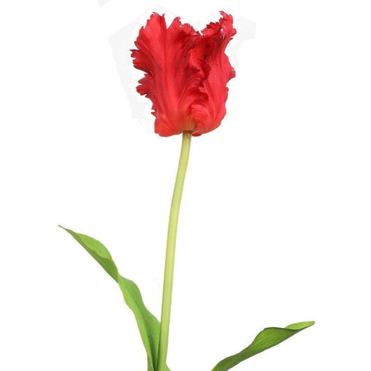 1-Stem Real-Touch Latex/Silk Parrot Tulip