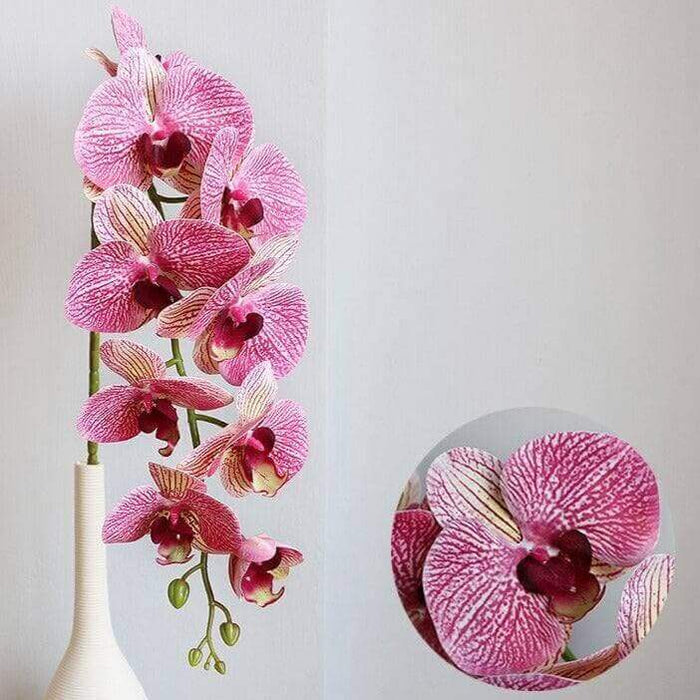 1-pc Artificial Flowers Real-Touch Orchid Real-Touch Phalaenopsis Orchid AliExpress