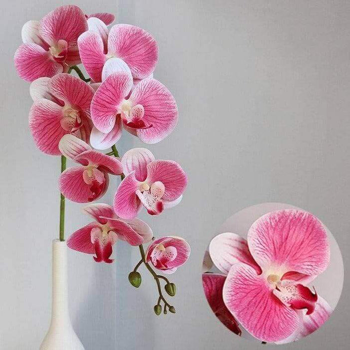 1-pc Artificial Flowers Real-Touch Orchid Real-Touch Phalaenopsis Orchid AliExpress