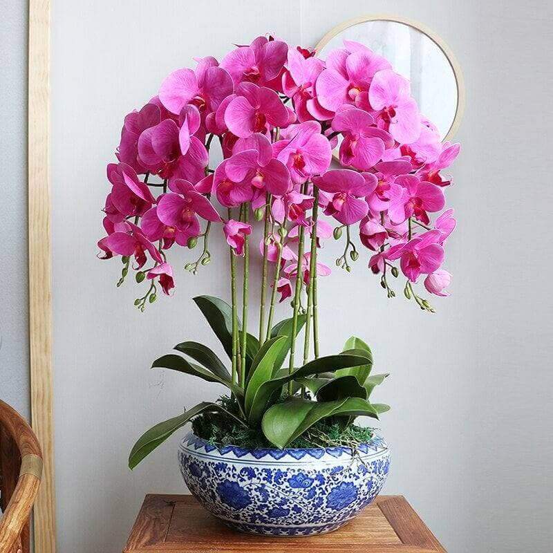 1-pc Artificial Flowers Real-Touch Orchid