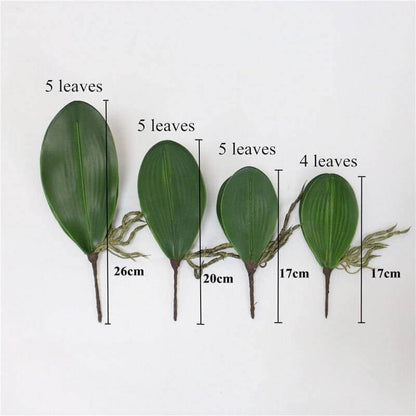 1-set Artificial Real-Touch Phalaenopsis Leaves