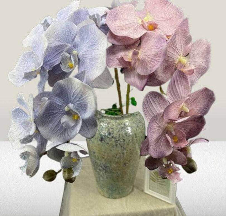 10-Head Coated Silk Artificial Butterfly Orchid Real-Touch Butterfly Orchid AliExpress