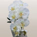 10-Head Coated Silk Artificial Butterfly Orchid Real-Touch Butterfly Orchid AliExpress