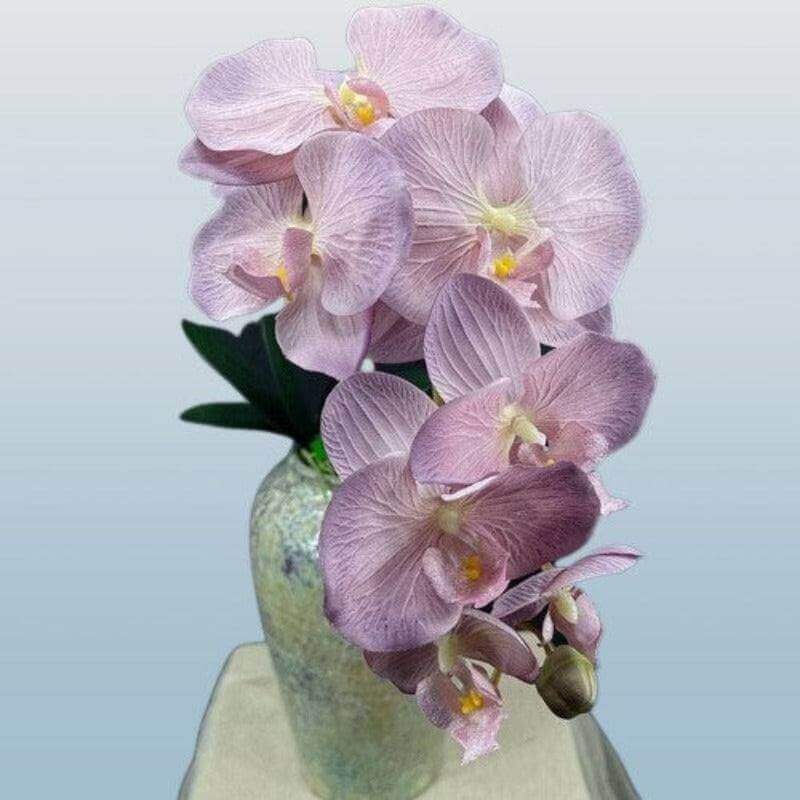 10-Head Coated Silk Artificial Butterfly Orchid