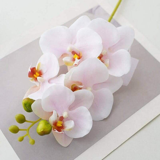 1PC Real-Touch Latex Artificial Butterfly Orchid Real-Touch Butterfly Orchid Amorobe Official Store