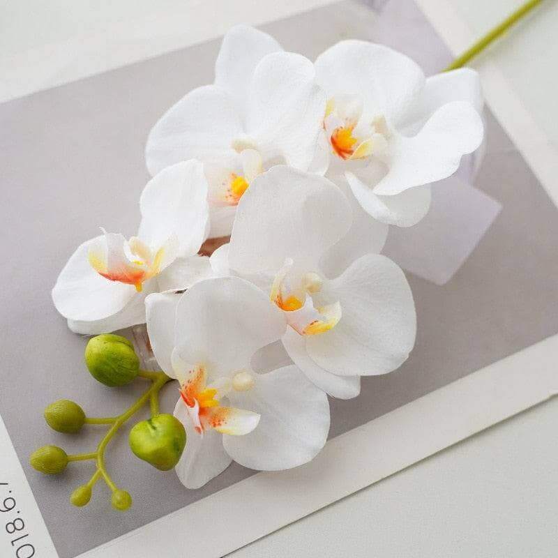 1PC Real-Touch Latex Artificial Butterfly Orchid