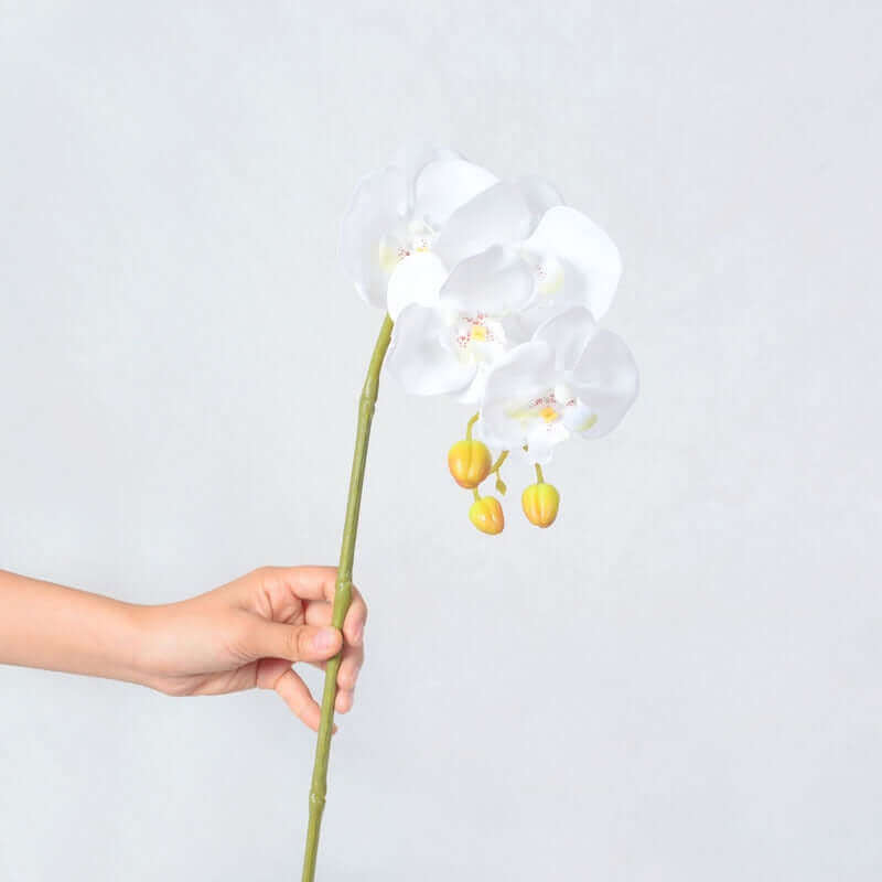 1-Pc Artificial Moth Butterfly Orchid Real-Touch
