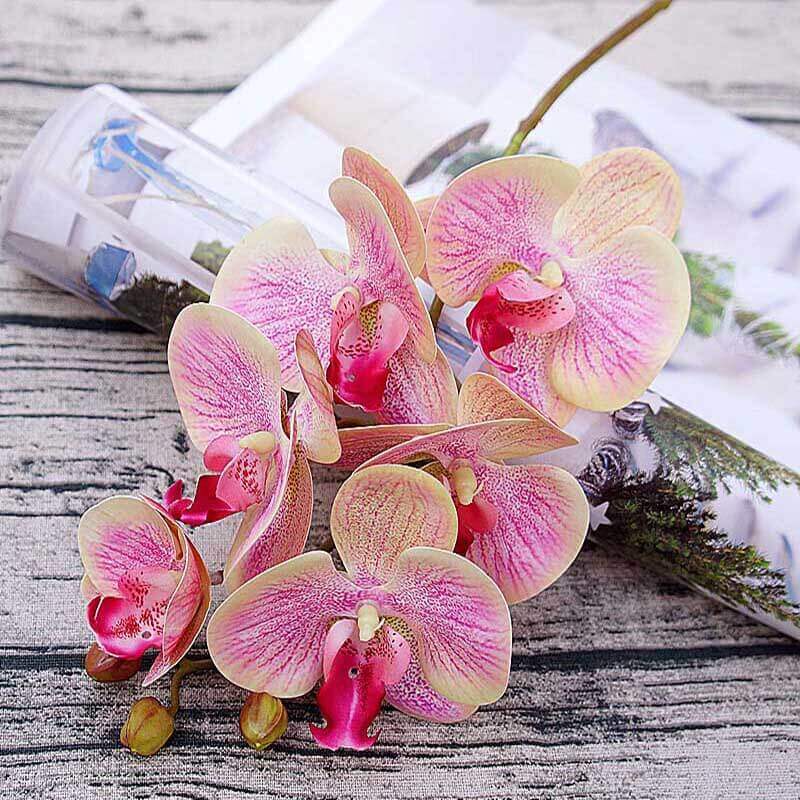 3D Small Latex Butterfly 6-Head Orchid Stem