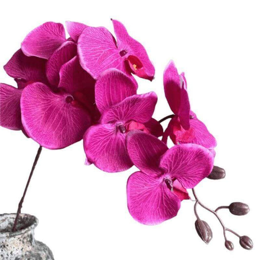 41" Tall Silk Butterfly Orchid Stem