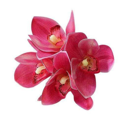 4Pc-Bunch Latex Orchid Bouquet