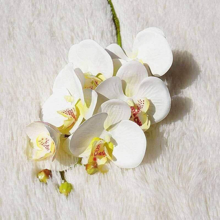6-Head Real-Touch Moth Butterfly Orchid Stem Real-Touch Butterfly Orchid AliExpress