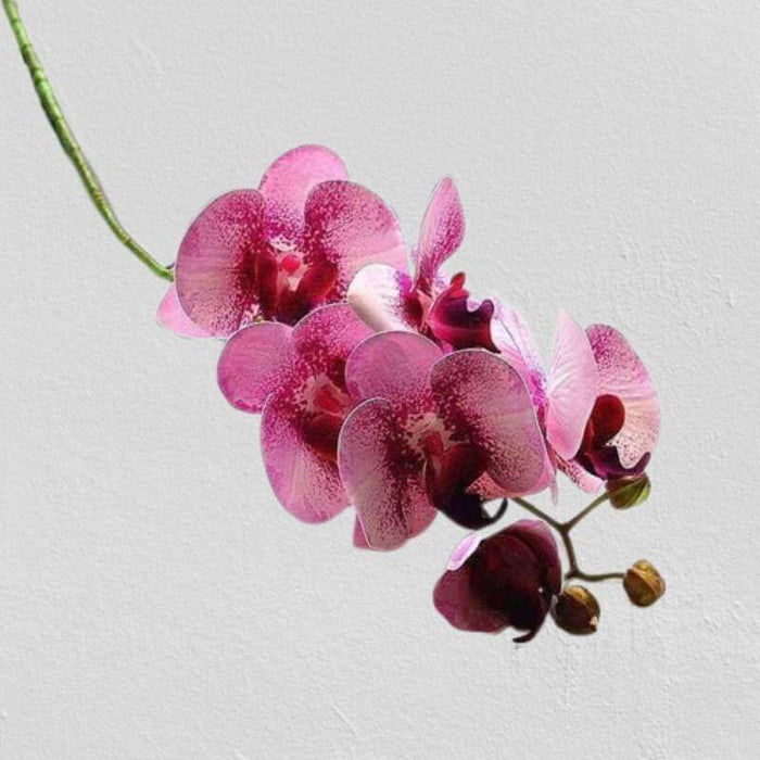 6-Head Real-Touch Moth Butterfly Orchid Stem Real-Touch Butterfly Orchid AliExpress