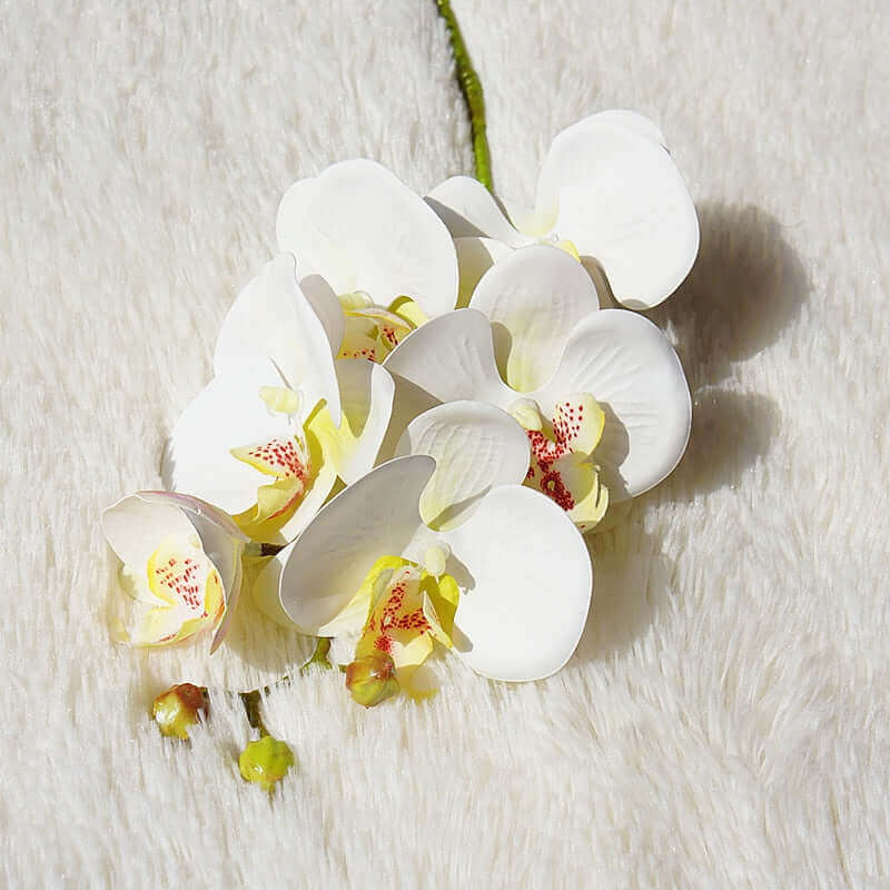 6-Head Real-Touch Orchid Latex Artificial Flowers WY