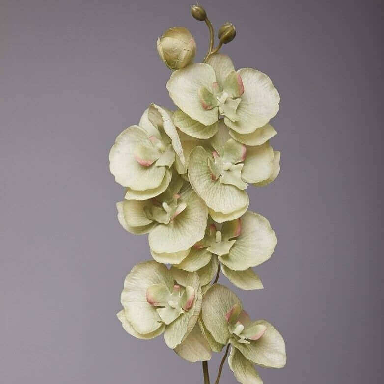 8-Head 3D Real-Touch Butterfly Orchid Stem