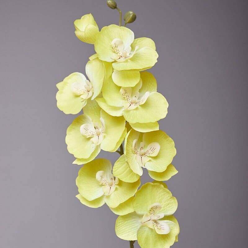 8-Head 3D Real-Touch Butterfly Orchid Stem