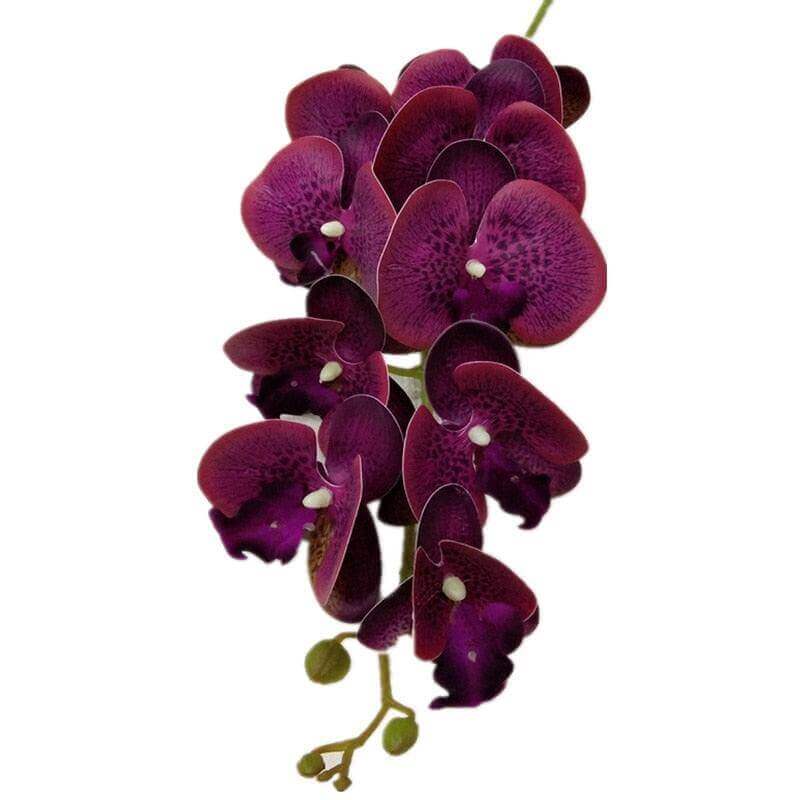 9-Head Latex Phalaenopsis Orchid Stem