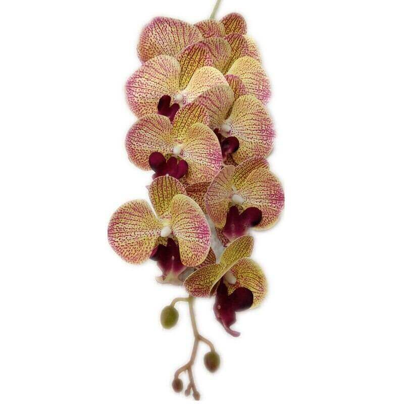 9-Head Latex Phalaenopsis Orchid Stem