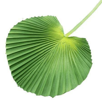 Artificial Real-Touch Fan Palm Leaves