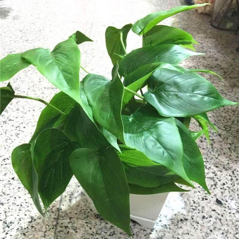 Artificial Real-Touch Calla Leaves