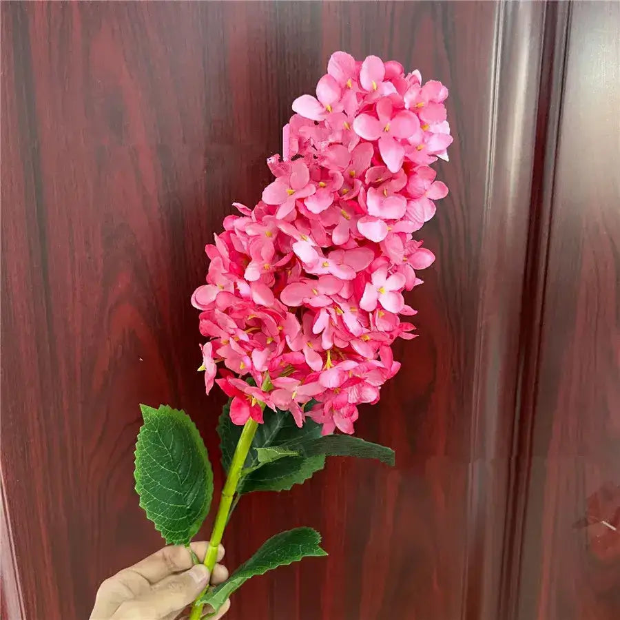 Beautiful Elongated Hydrangea Flower With Leaves Bright Pink