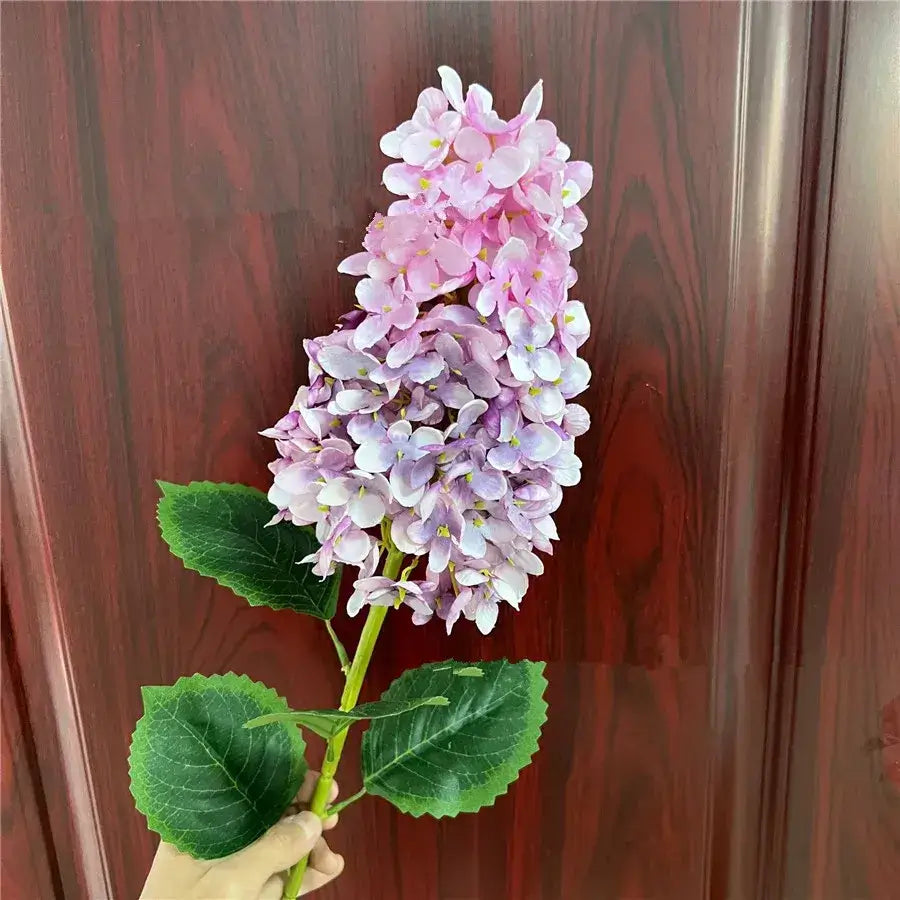 Beautiful Elongated Hydrangea Flower With Leaves Lavender