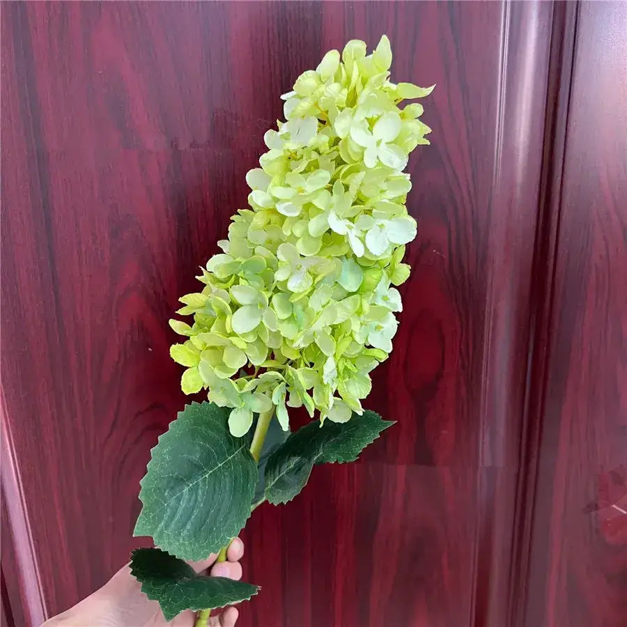 Beautiful Elongated Hydrangea Flower With Leaves Lime Green