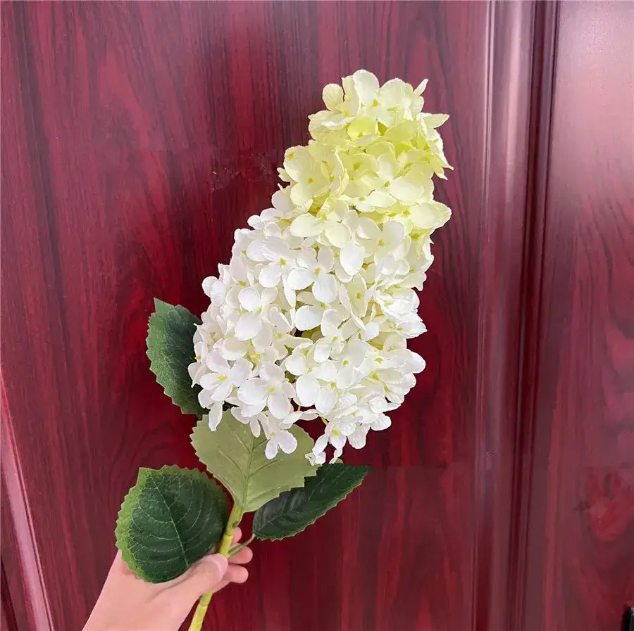 Beautiful Elongated Hydrangea Flower With Leaves White