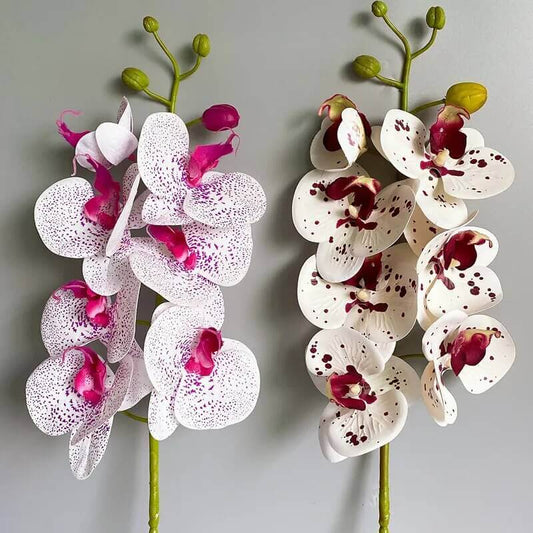 Latex Real-Touch Artificial Butterfly Orchid Display